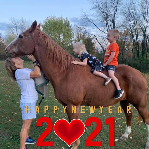 2horse